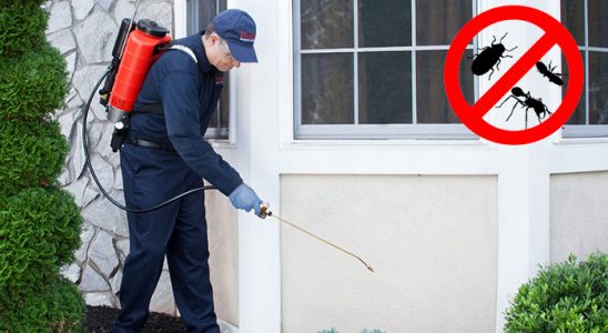Çarşamba Böcek ve Haşere İlaçlama böcek ilaçlama ve haşere kontrolü — ilaclama-tr.com